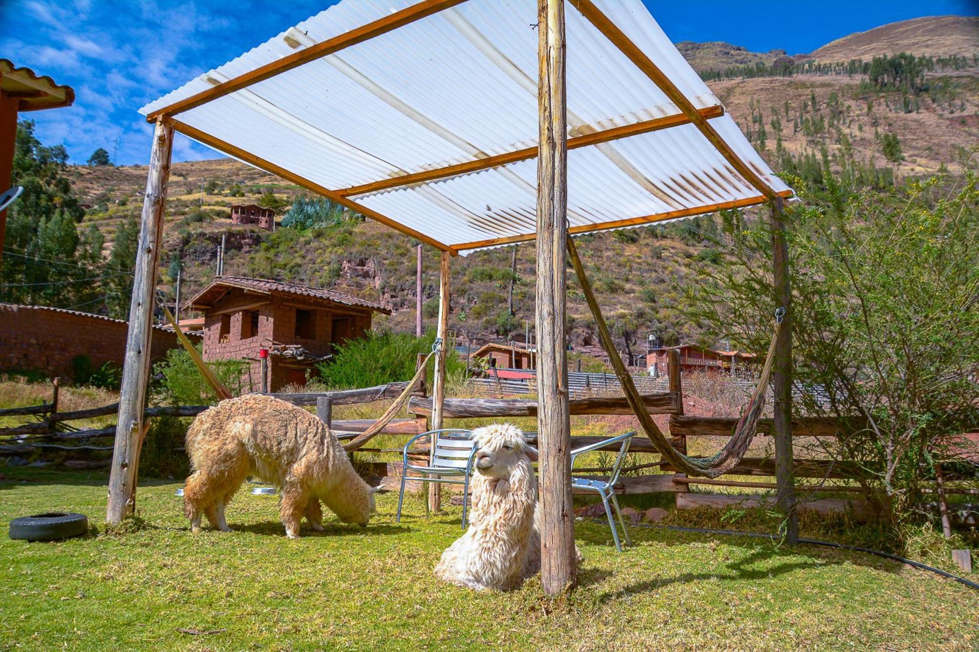 Apartamento Manchitas Wasi Písac Exterior foto